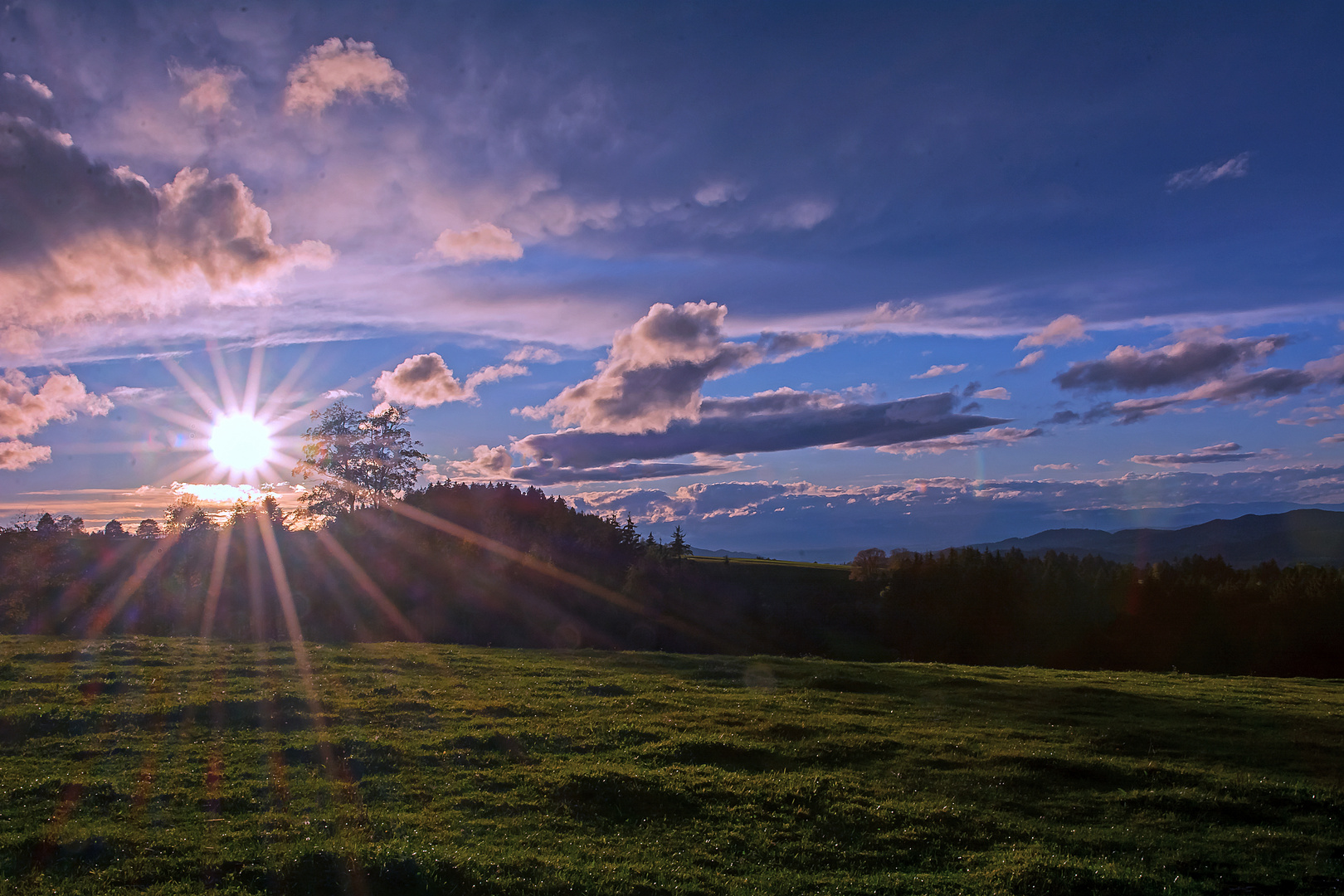 Abendsonne im Glottertal