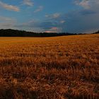 Abendsonne im hannoverschen Wendland