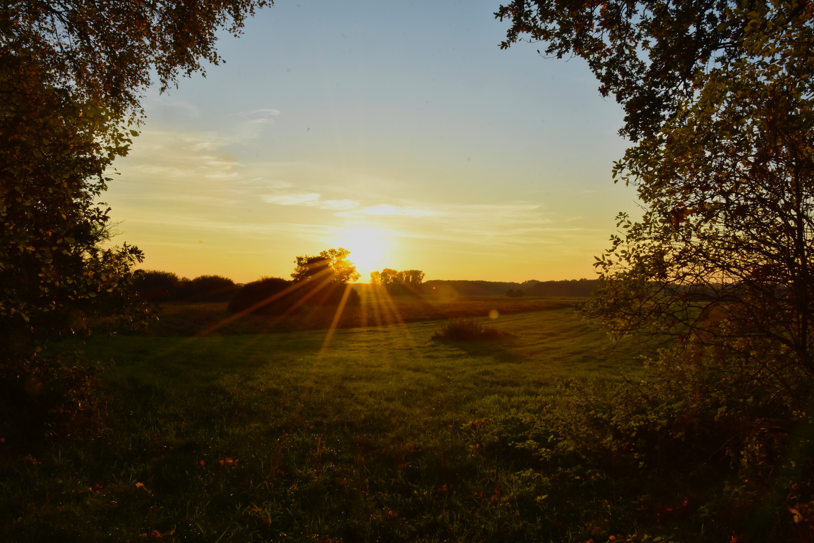 Abendsonne im Herbst