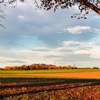 Abendsonne im Herbst im Kraichgau...