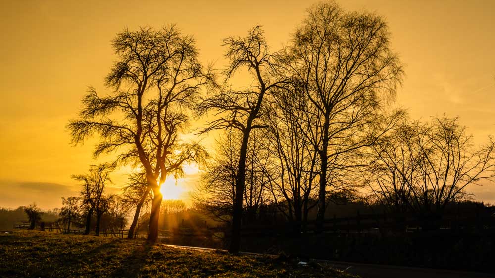 Abendsonne im Januar