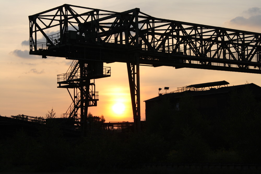 Abendsonne im Landschaftspark