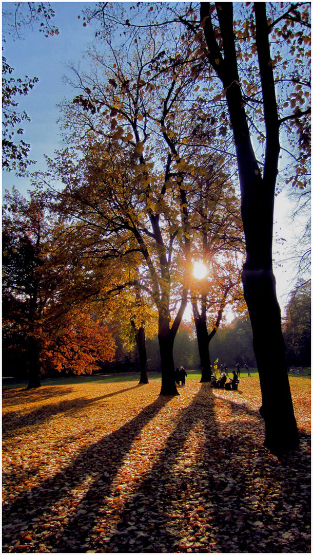 Abendsonne im Luisenpark