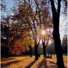 Abendsonne im Luisenpark