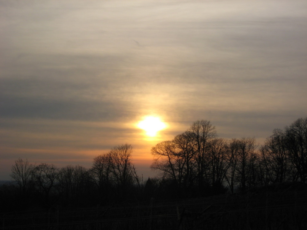 Abendsonne Im März