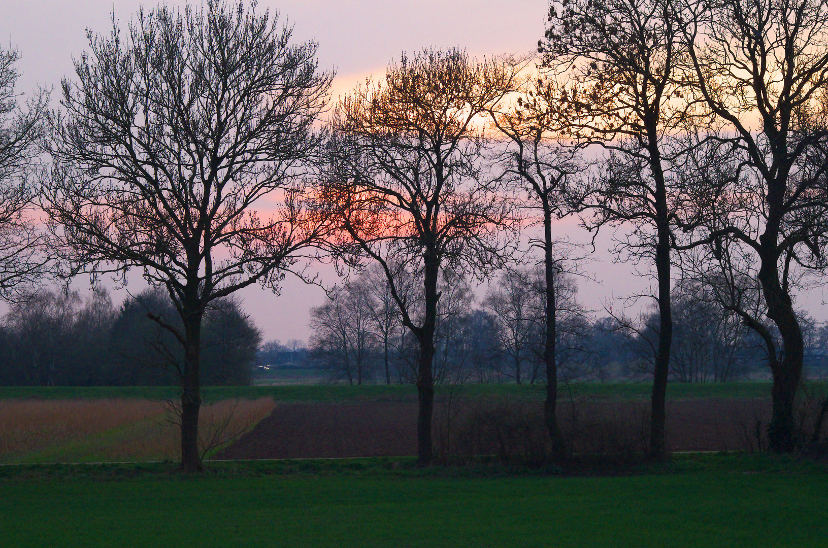 Abendsonne im Mai