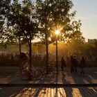 Abendsonne im Mauerpark