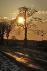 Abendsonne im Moor