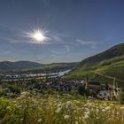 Abendsonne im Moseltal Senheim