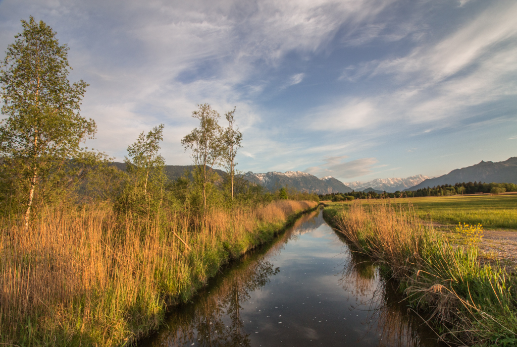 Abendsonne im Murnauer Moos