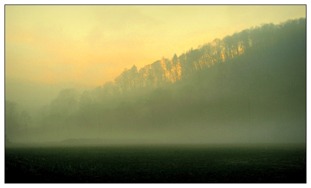 Abendsonne im Nebel