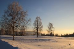 Abendsonne im Nordschwarzwald