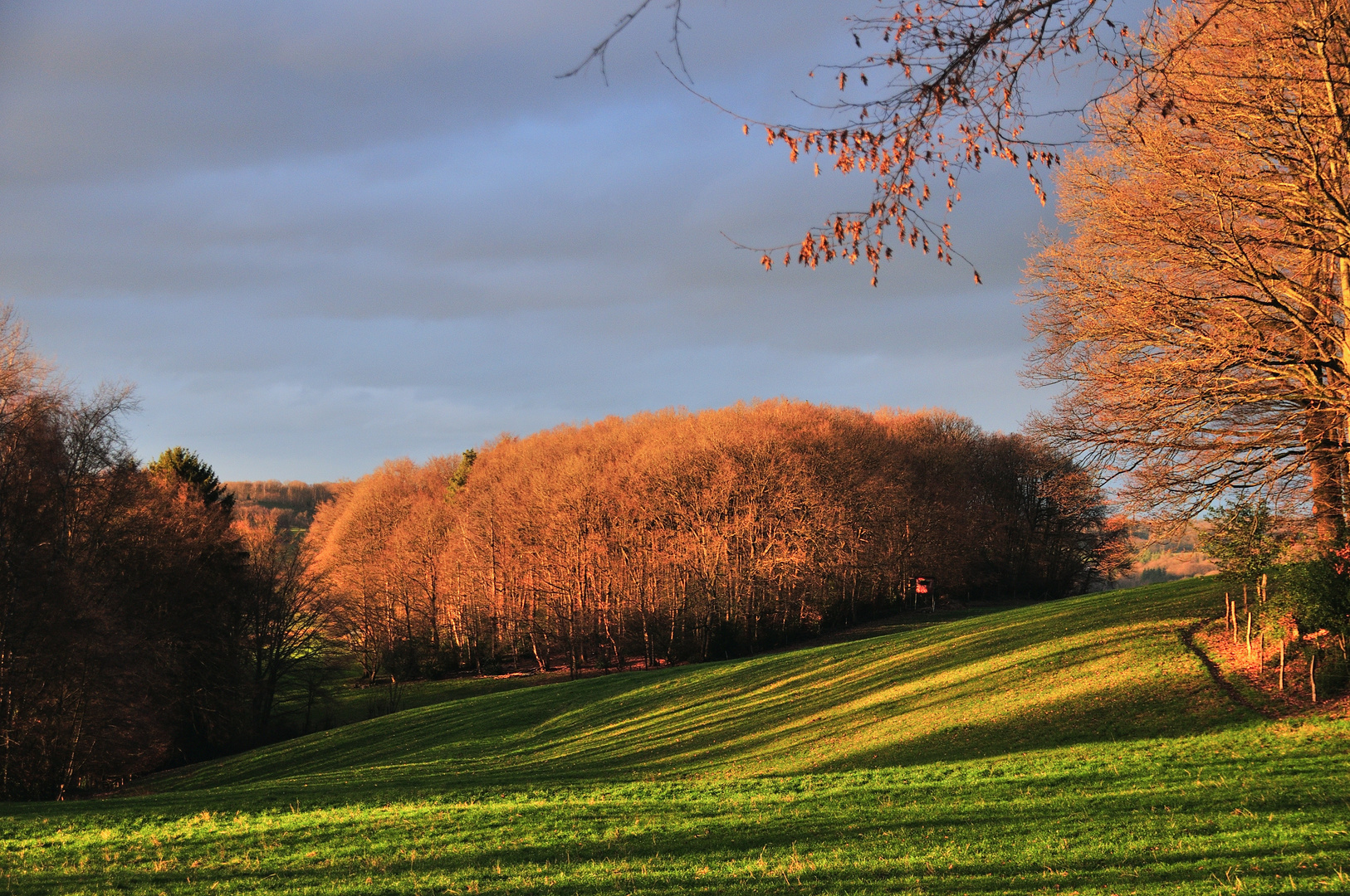 Abendsonne im Oberbergischen