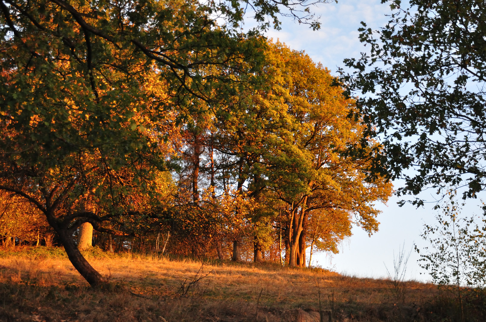 Abendsonne im Oberbergischen