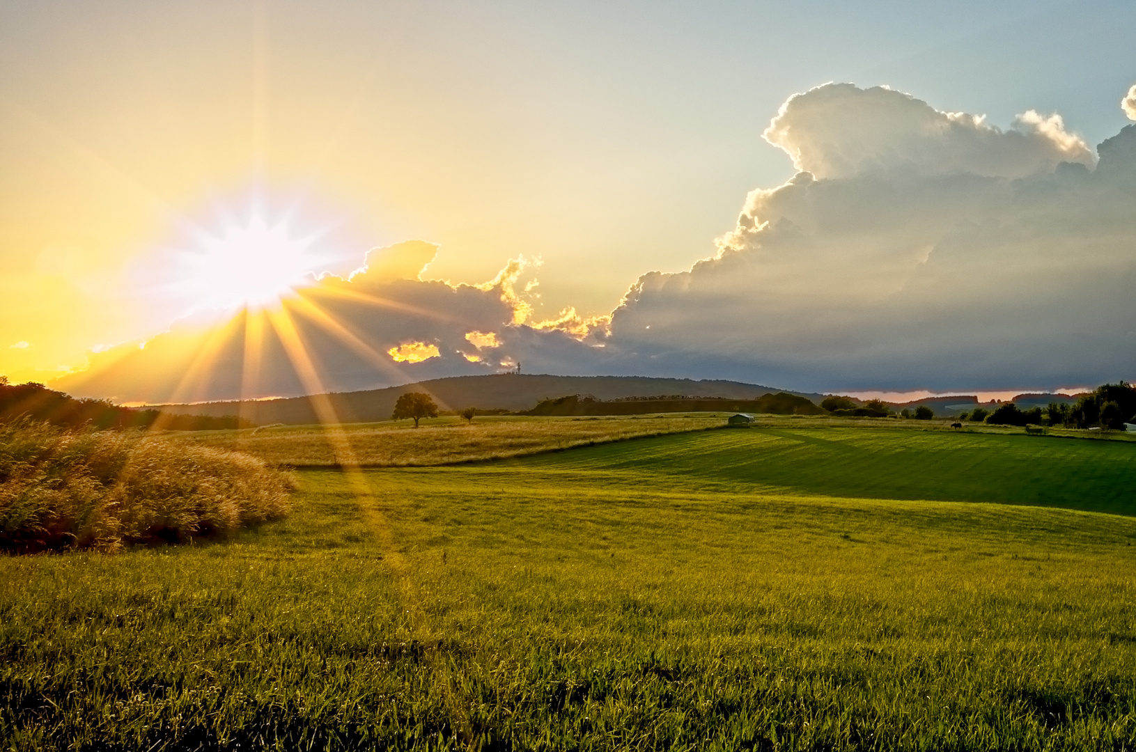 Abendsonne im Odenwald