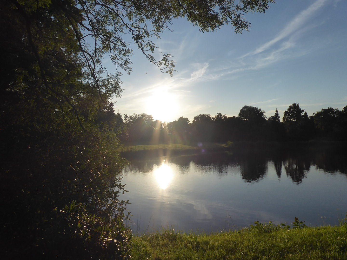 Abendsonne im Park Wiesenburg