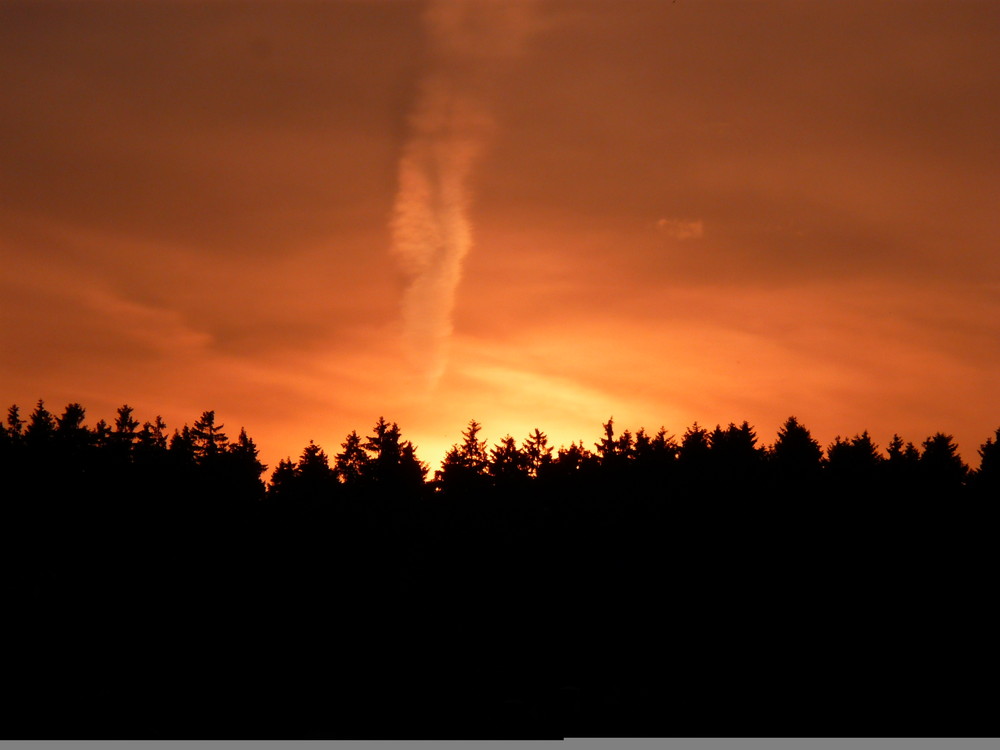 Abendsonne im Sauerland - 1