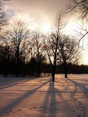 Abendsonne im Schnee