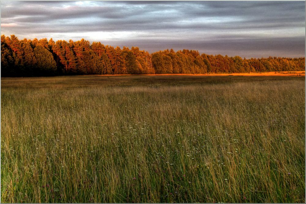 Abendsonne im späten Spät-Sommer