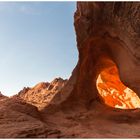 Abendsonne im Valley of Fire