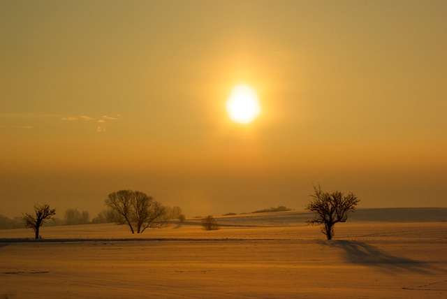 Abendsonne im Winter