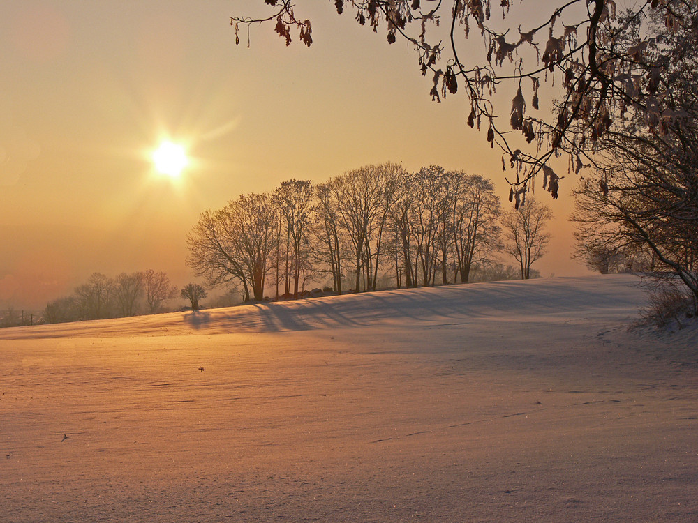 Abendsonne im Winter