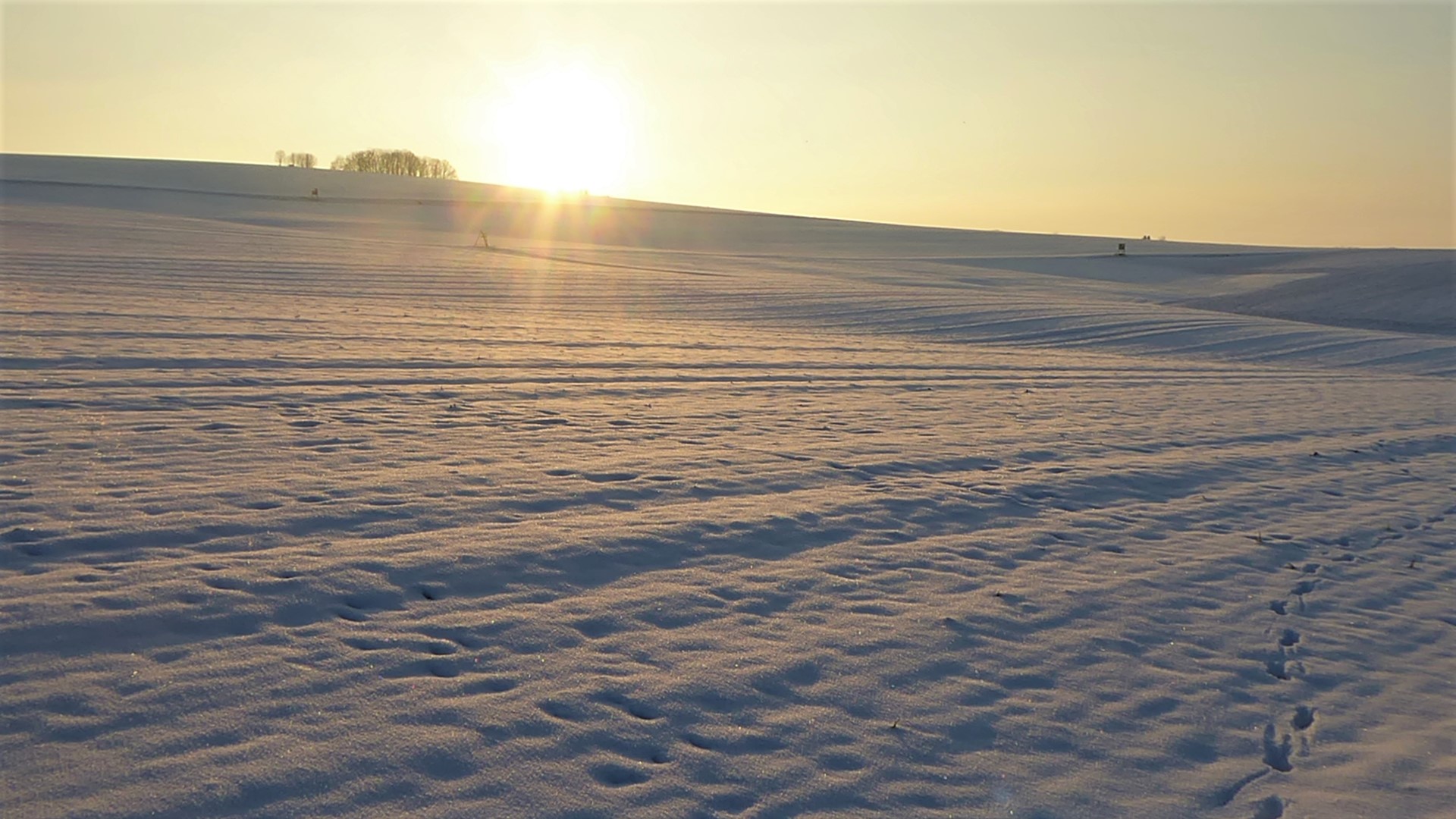 Abendsonne im Winter