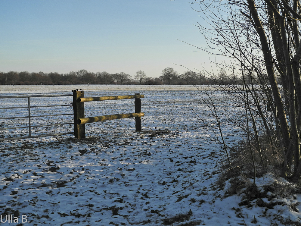 Abendsonne im Winter