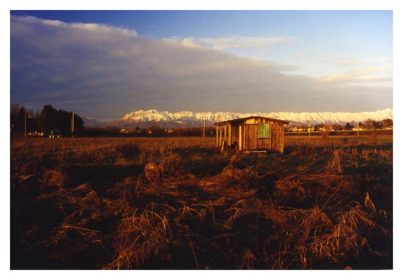 Abendsonne in Colugna