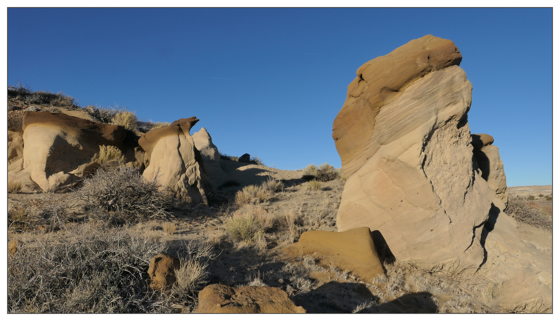 Abendsonne in den Bisti Badlands / De-Na-Zin Wilderness