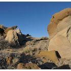 Abendsonne in den Bisti Badlands / De-Na-Zin Wilderness