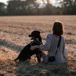 Abendsonne in den Feldern