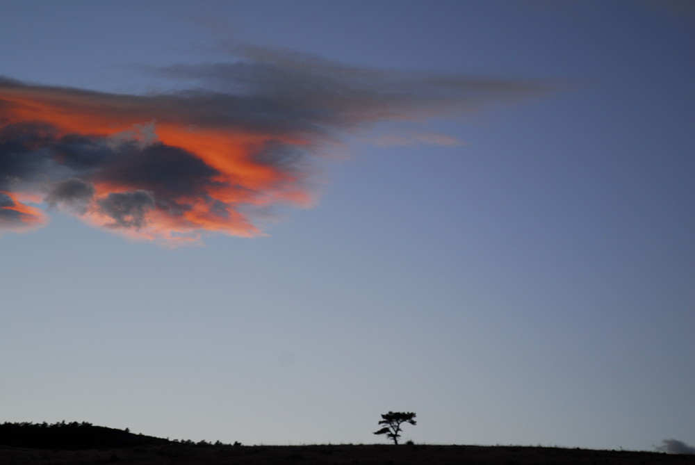 Abendsonne in den Rockies