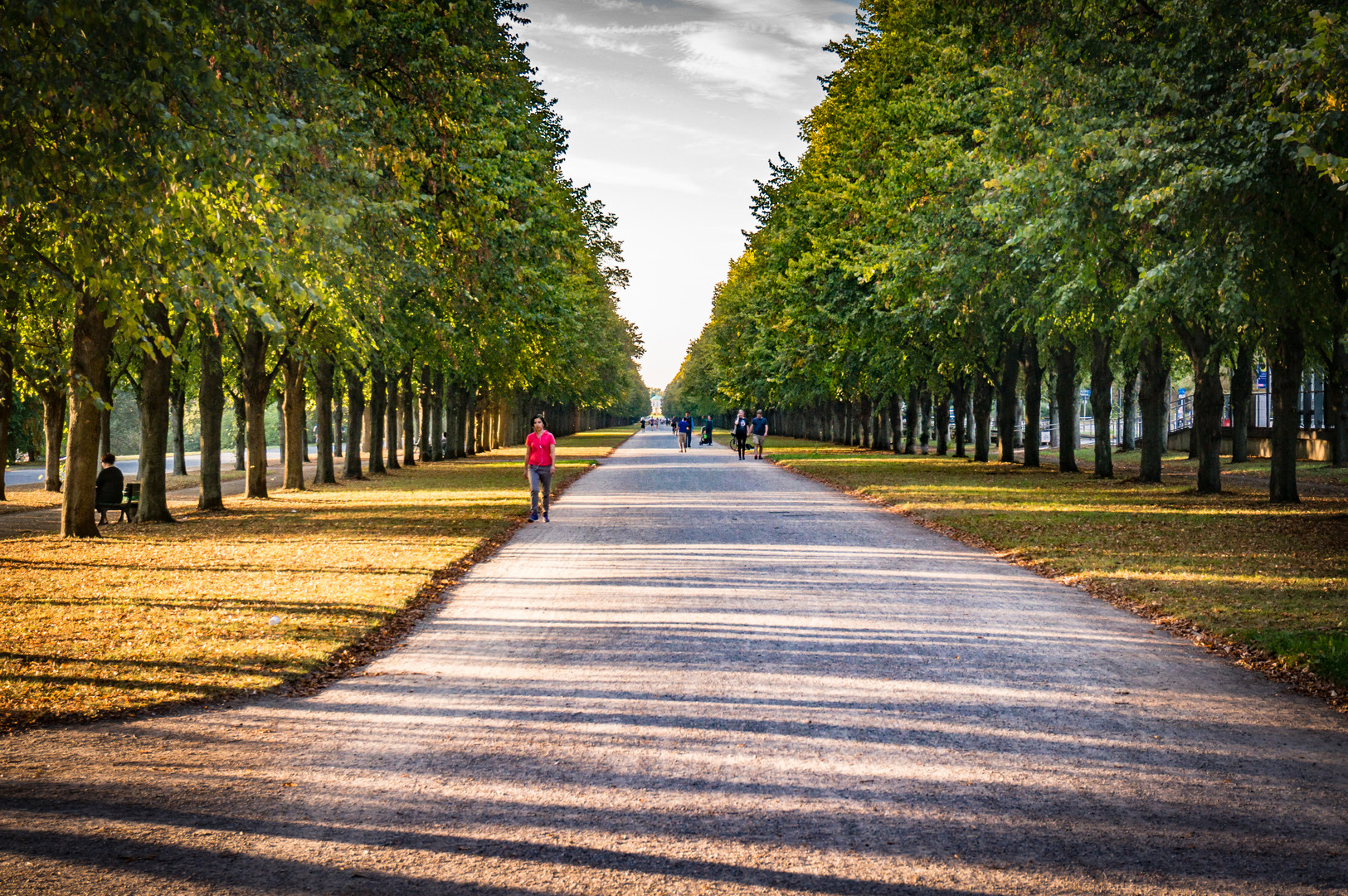 Abendsonne in der Herrenhäuser Allee - Hannover