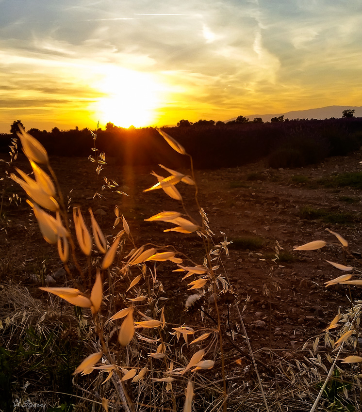 Abendsonne in der Hochebene