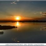 Abendsonne in der Lagune