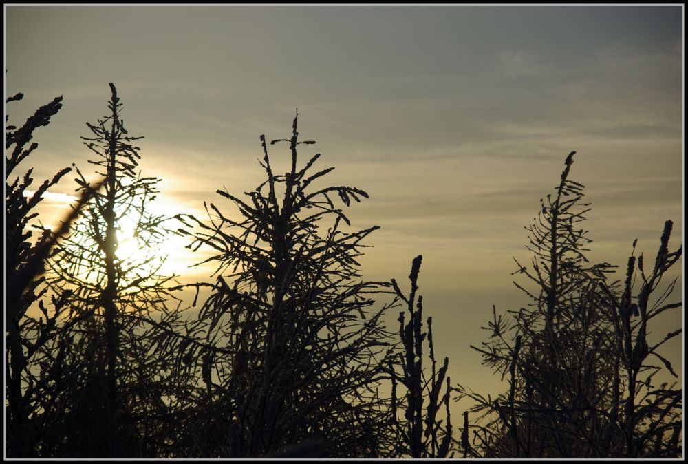 Abendsonne in der Winterzeit