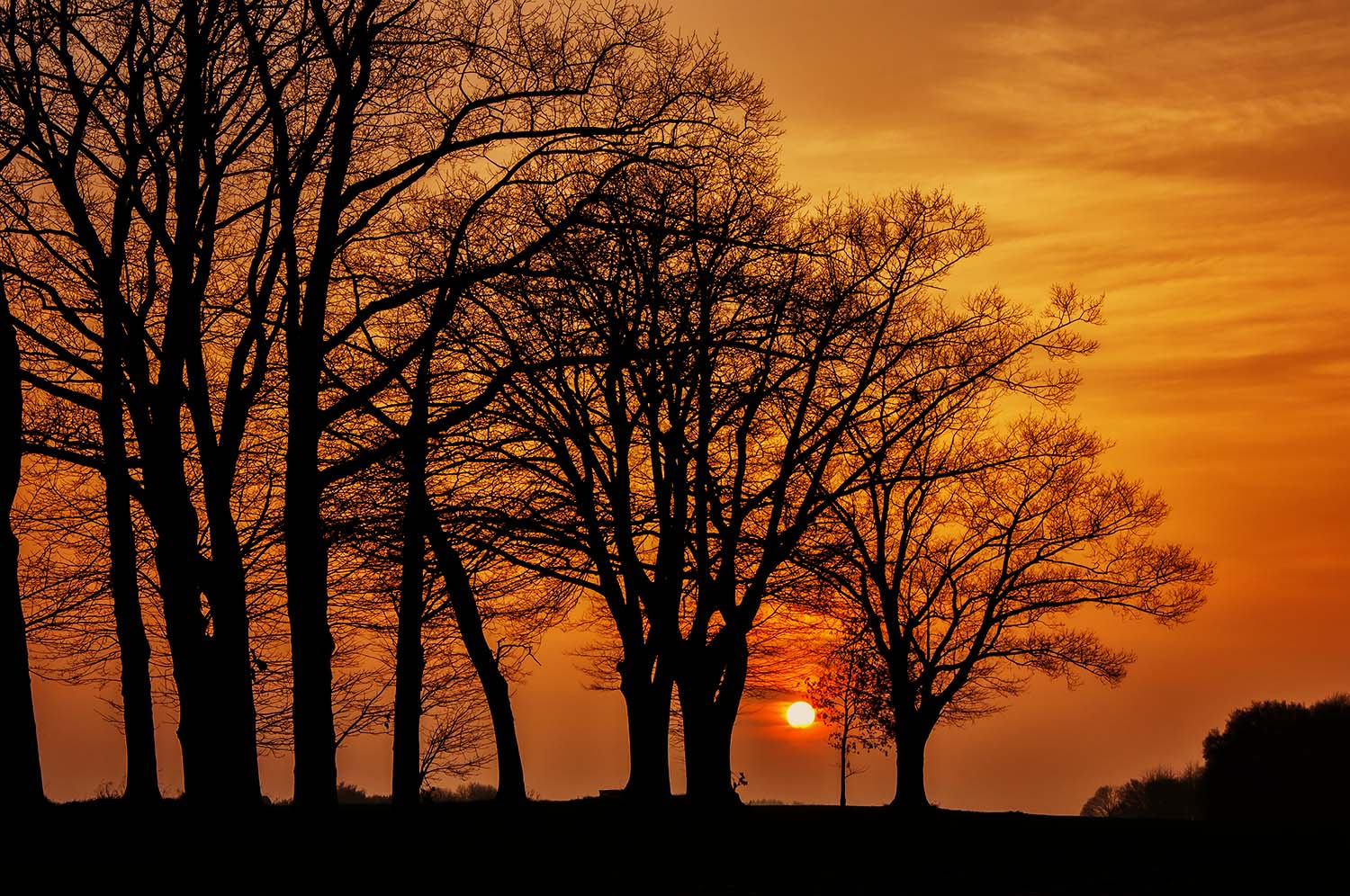 Abendsonne in Hülsten