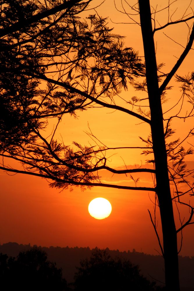 Abendsonne in Kenia