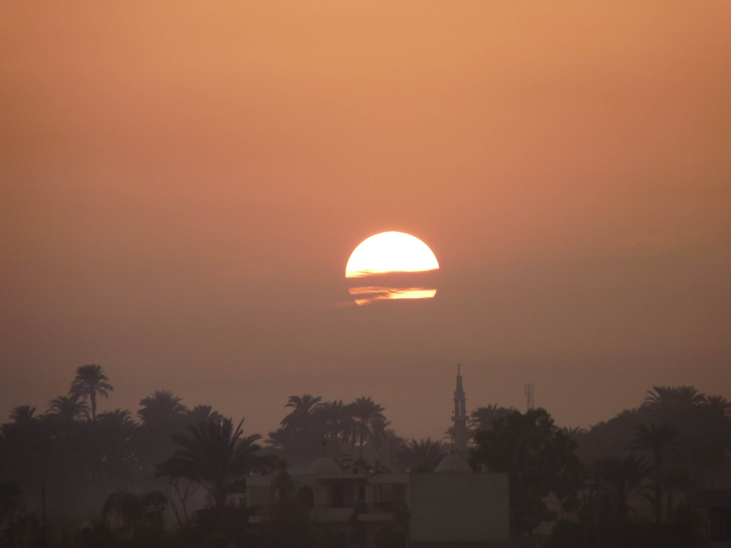 Abendsonne in luxor.