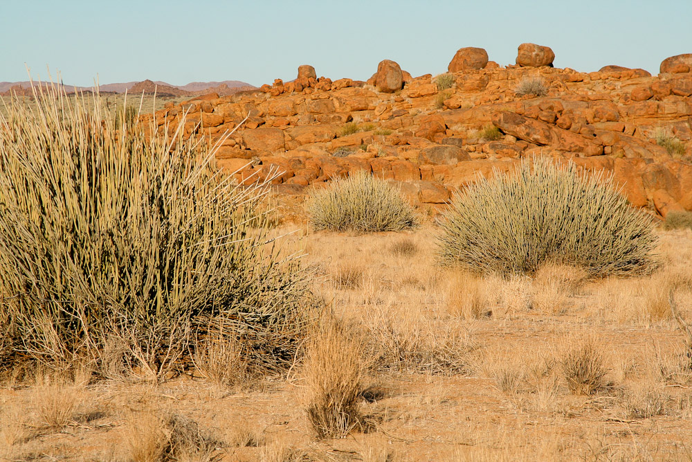 Abendsonne in Namibia #2