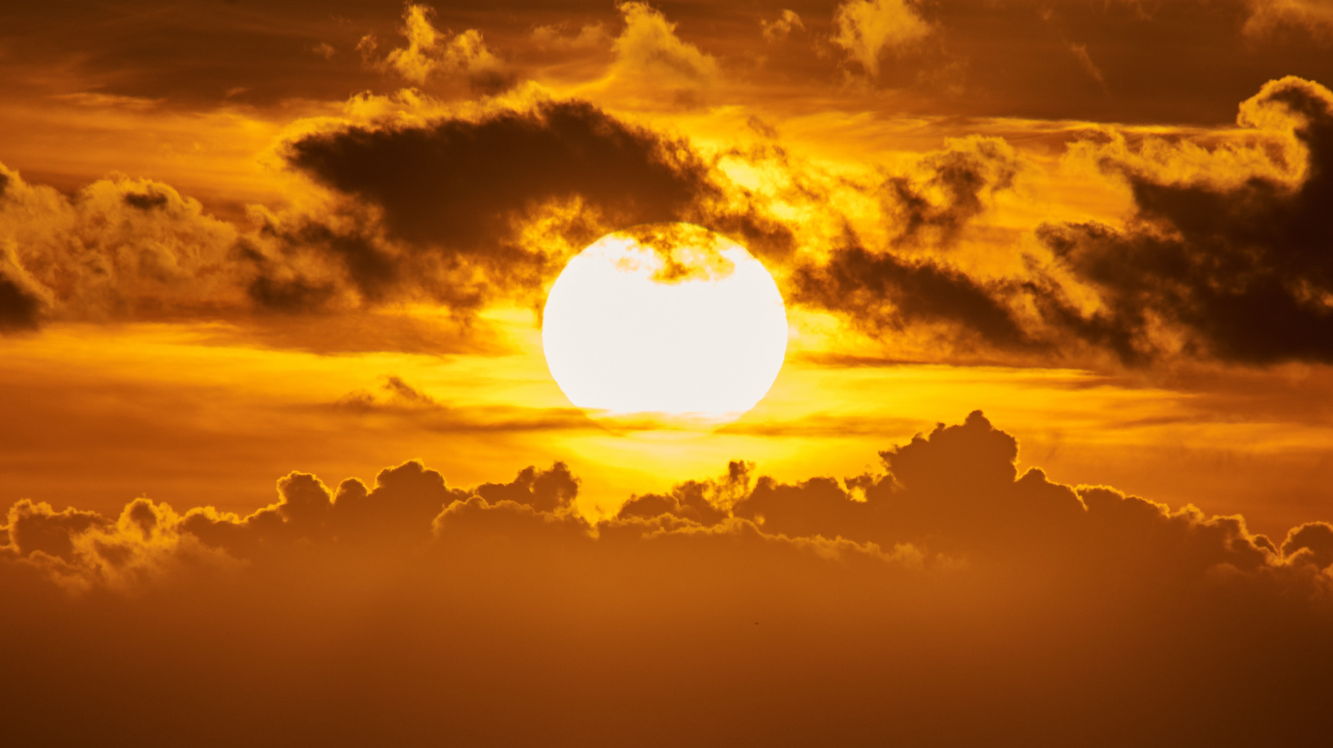 Abendsonne in Nordfriesland