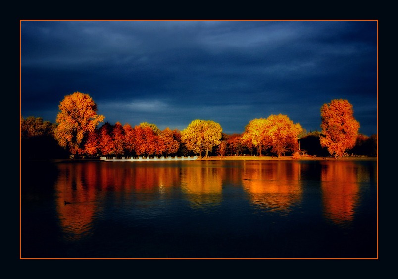 Abendsonne in Oktober von Ilona Wellmann