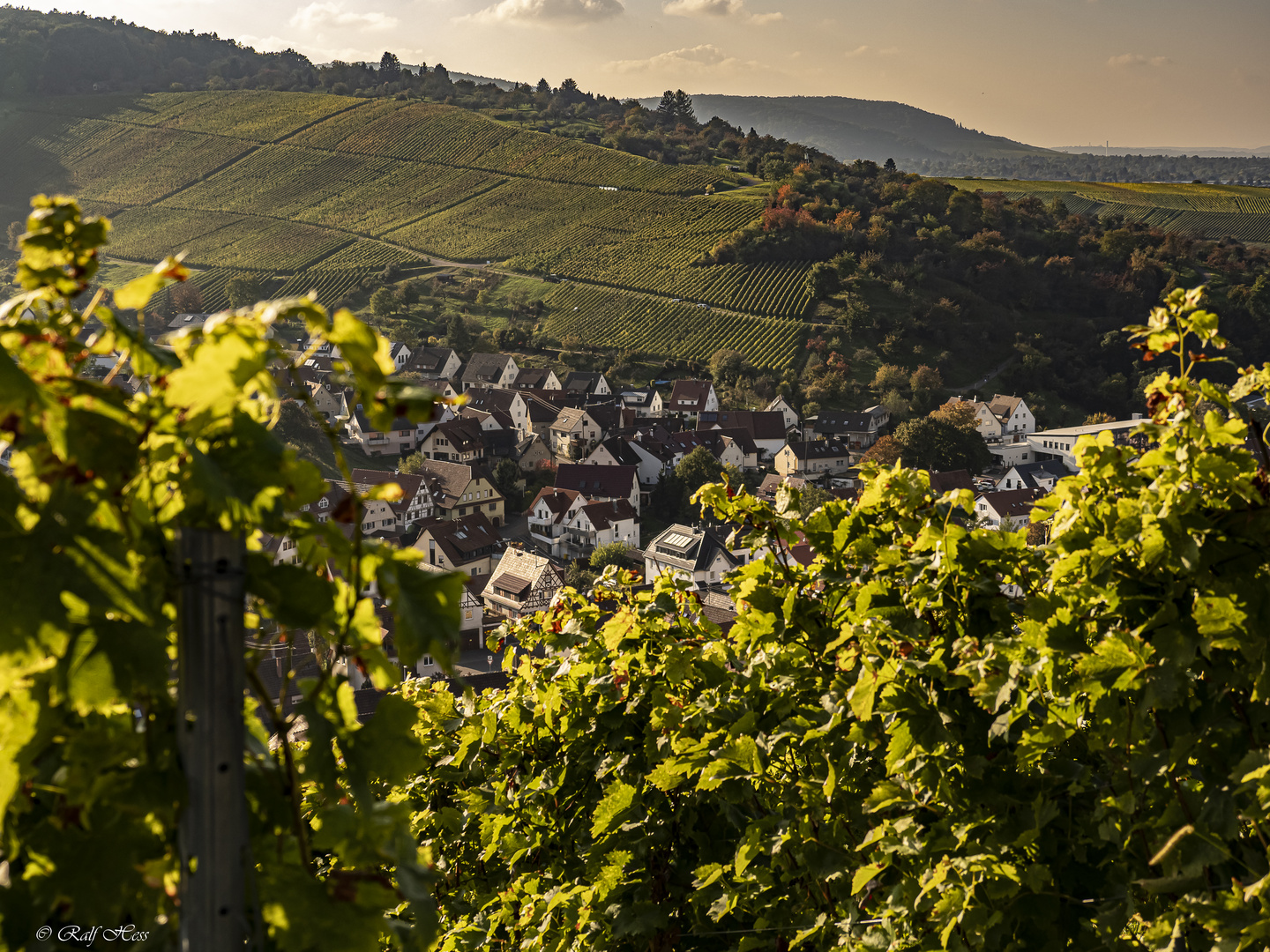 Abendsonne in Strümpfelbach