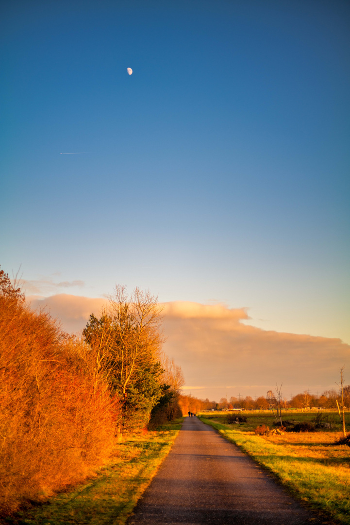 Abendsonne mit Mond