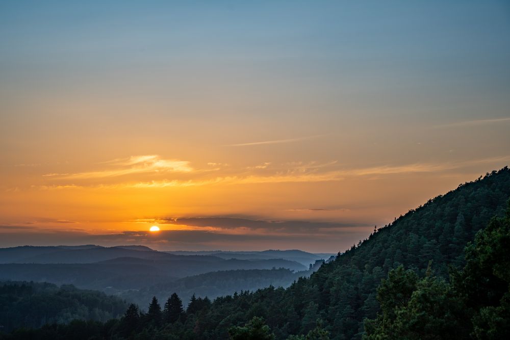 Abendsonne Pfälzerwald