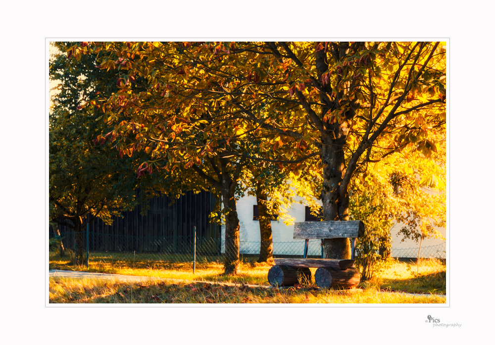 Abendsonne Spätaugust