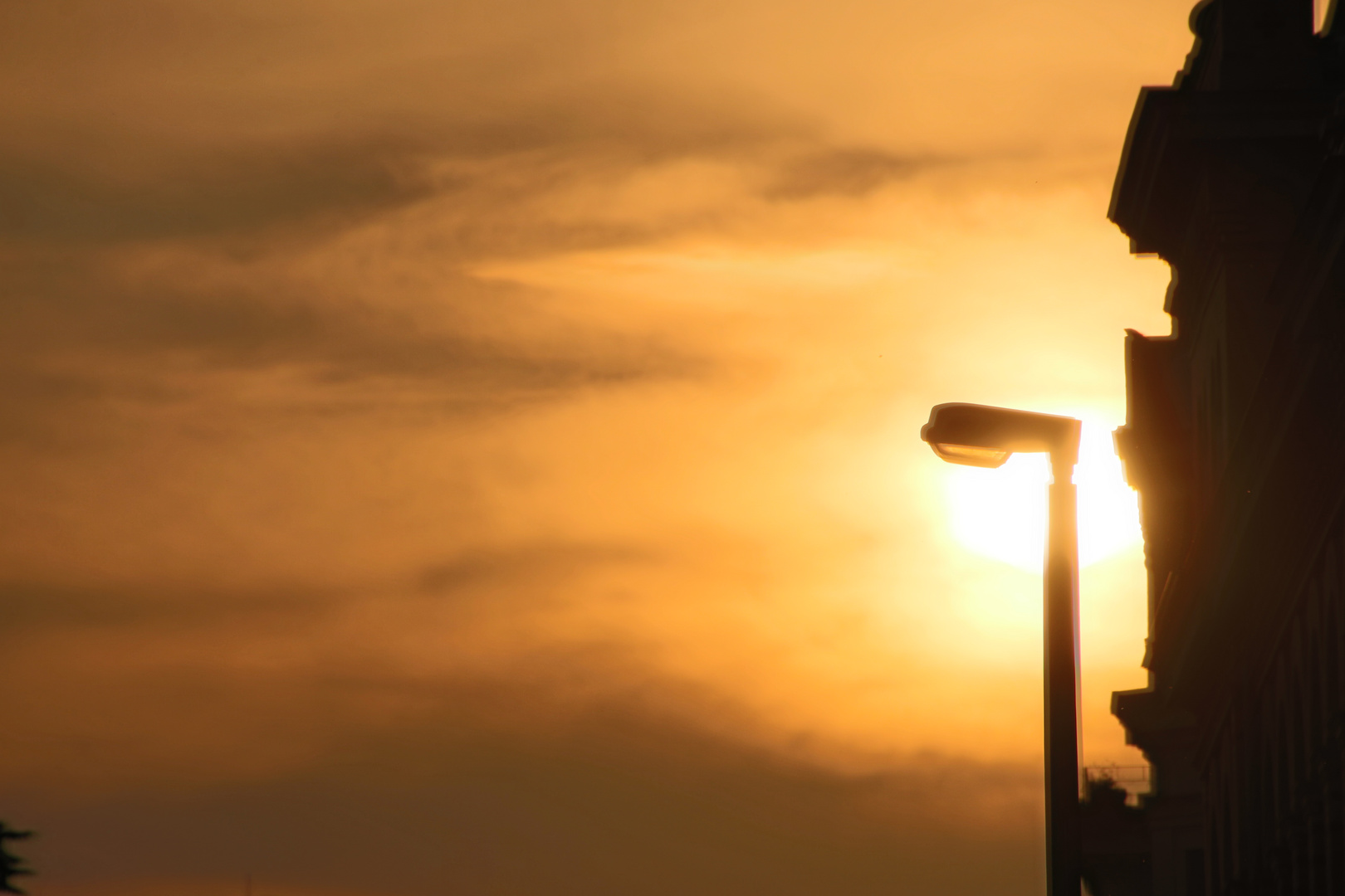 Abendsonne trifft Straßenbeleuchtung