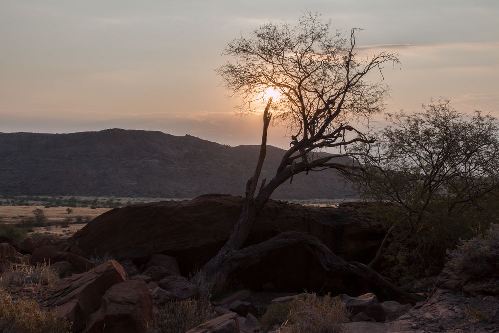 Abendsonne Twyfelfontein