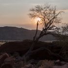 Abendsonne Twyfelfontein